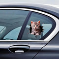 Durable Cat Pattern Car Sticker (Pack of 1)
